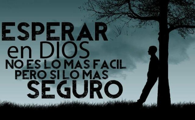Alejandro banner
