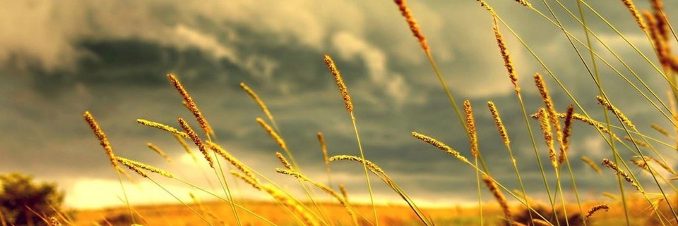 ekaseftasari's profile banner image