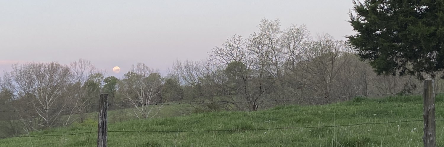 murphyheather_'s profile banner image