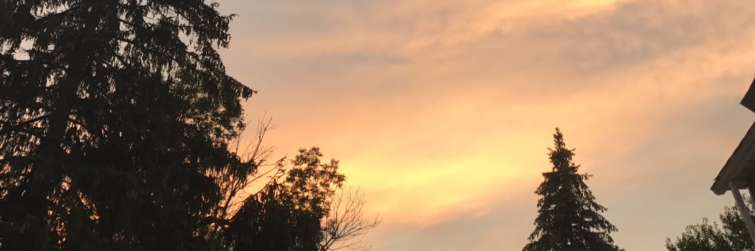 anthony__j14's profile banner image