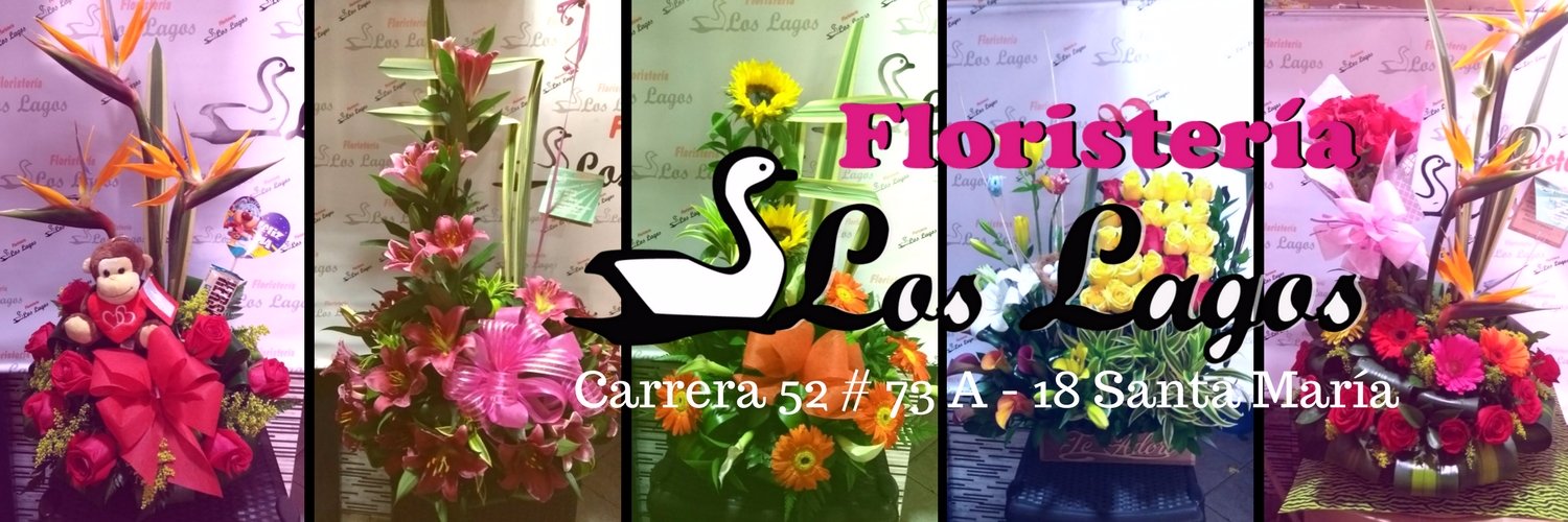 floslagos's profile banner image