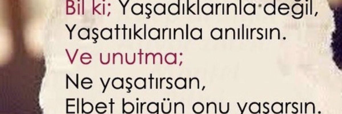 usnoyan's profile banner image