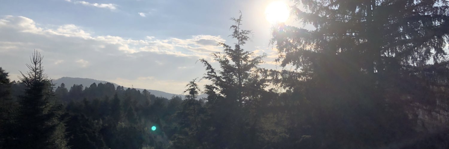 GusNMartinez's profile banner image