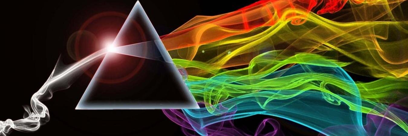 DaniP banner