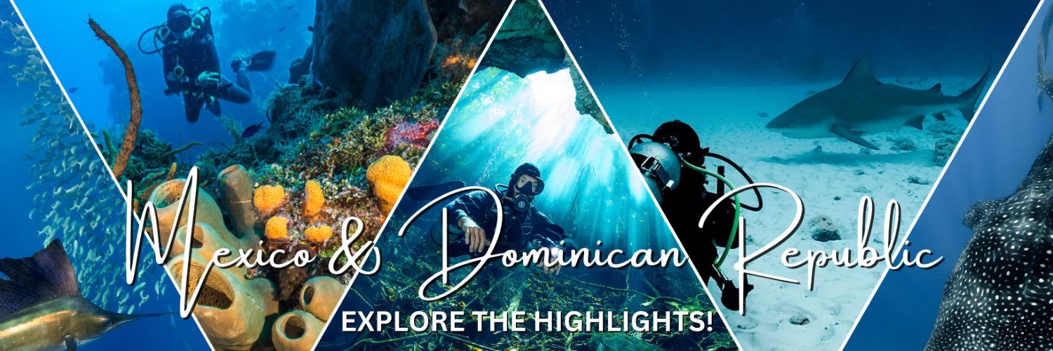 ProDiveInt's profile banner image