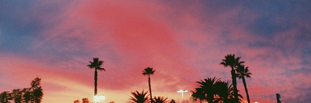 kathxpcx's profile banner image