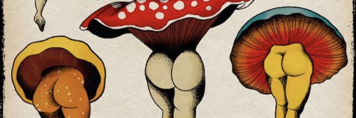 madddyj14's profile banner image
