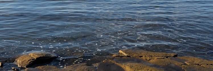 Joe_McCann13's profile banner image