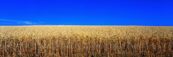 o_starov Profile Banner