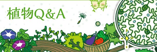 JSPP_qa's profile banner image