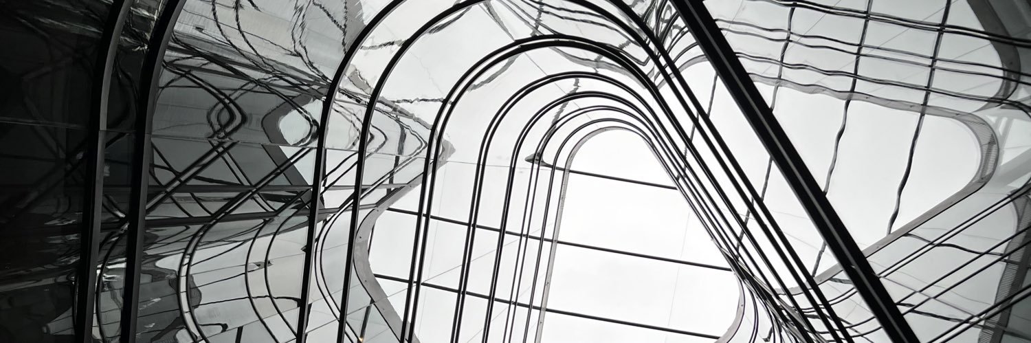 Angela K. Luu banner