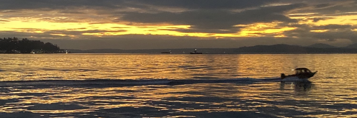 sabinsea's profile banner image
