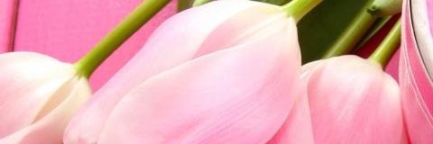 MsJasmineATL's profile banner image