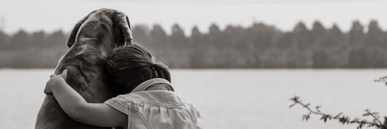spickwell's profile banner image