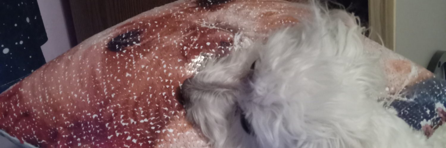 fizzlefrizzle's profile banner image