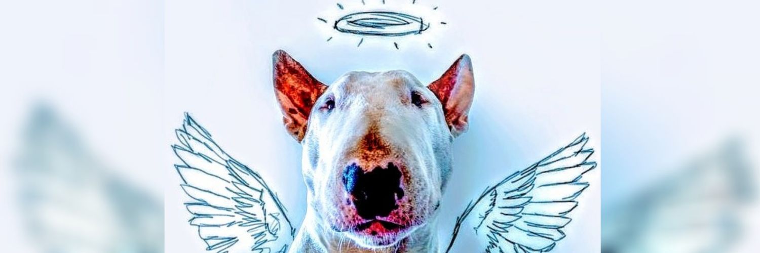 LeOGener89's profile banner image