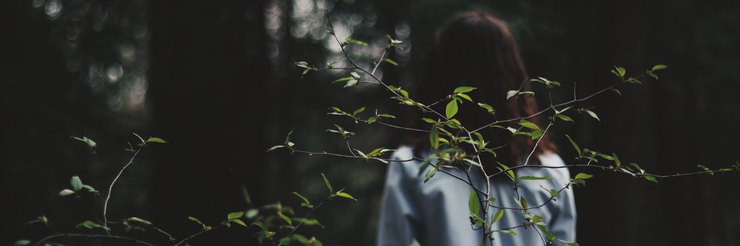 Polly_Dexter's profile banner image