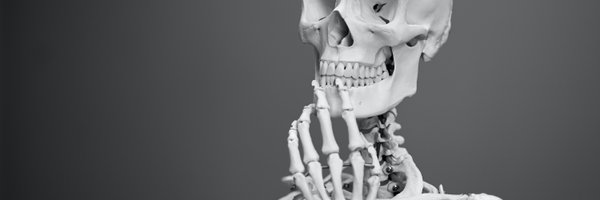 budi Profile Banner