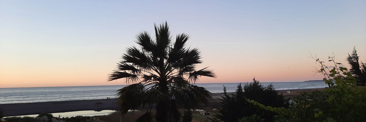 Roberta Lama Bedwell banner