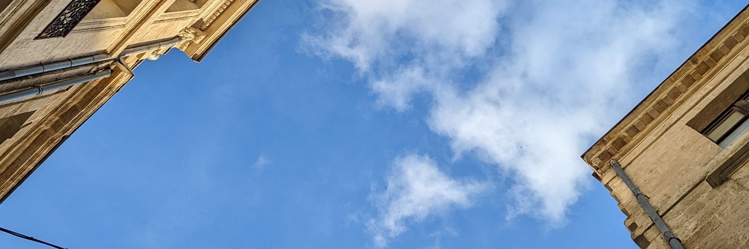 Charline Grenet 🐹💻🌳 banner