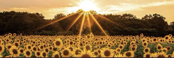 jesaintjohn Profile Banner