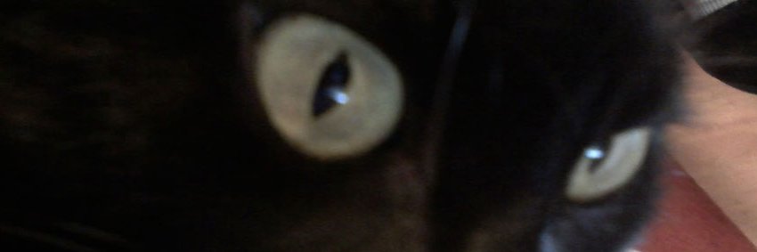 CesarVMB's profile banner image