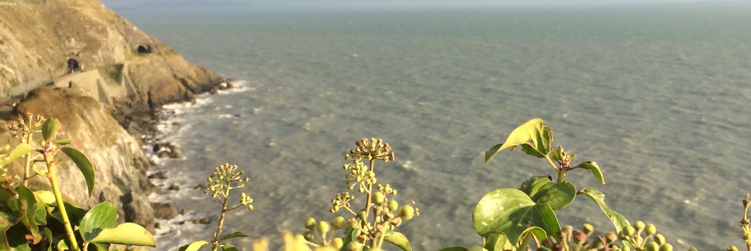 MariaSofiea's profile banner image