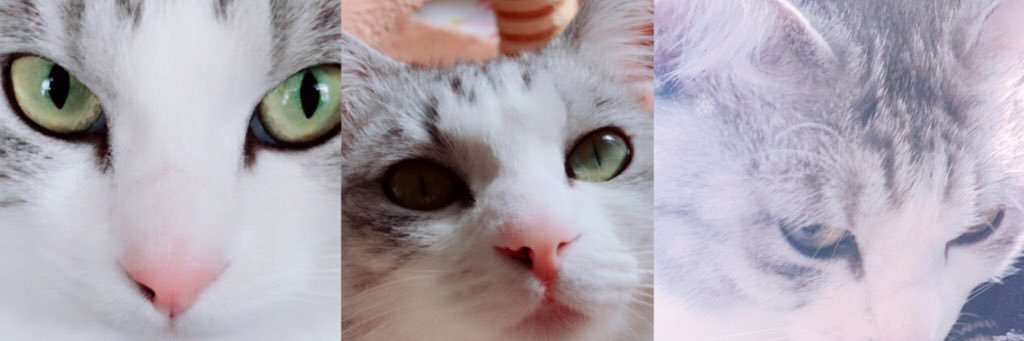 yrs_ys's profile banner image