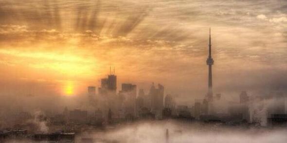 Michael Friedman banner