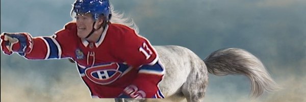 MightyMax44 Profile Banner