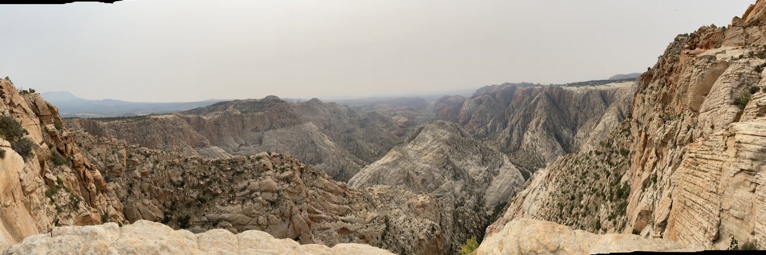 zachyroll's profile banner image