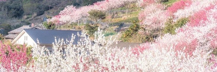 yiboful_'s profile banner image