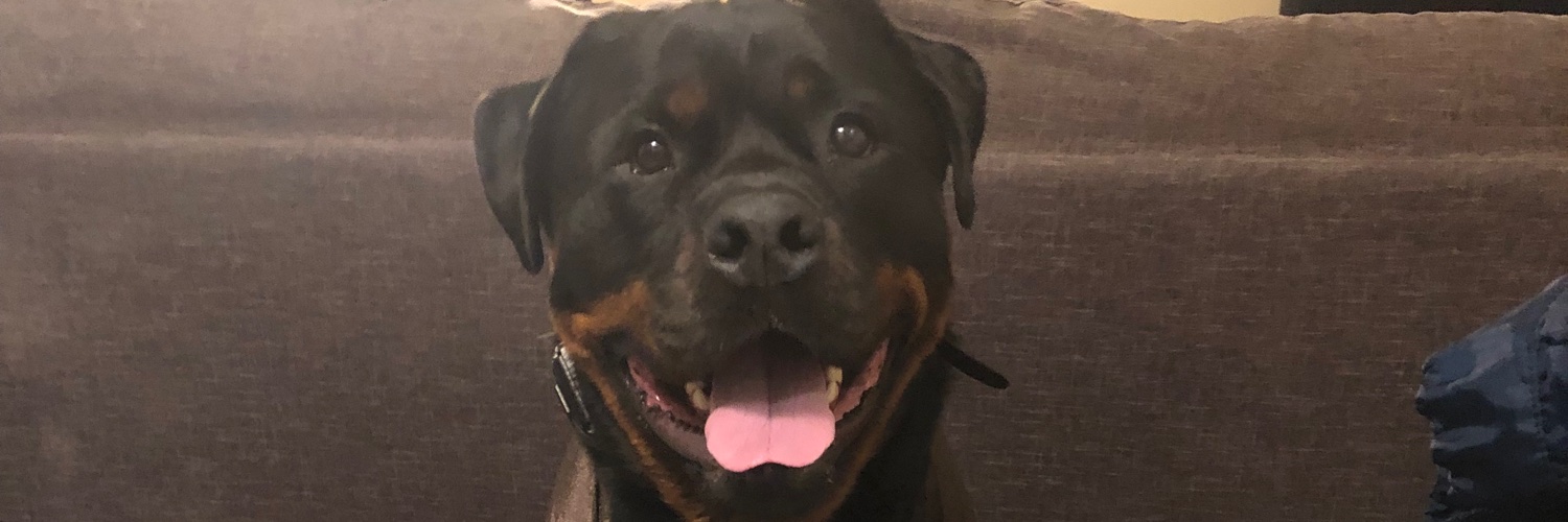 HoodPopeSnicks's profile banner image