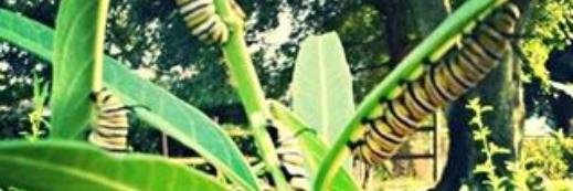 millerpod's profile banner image