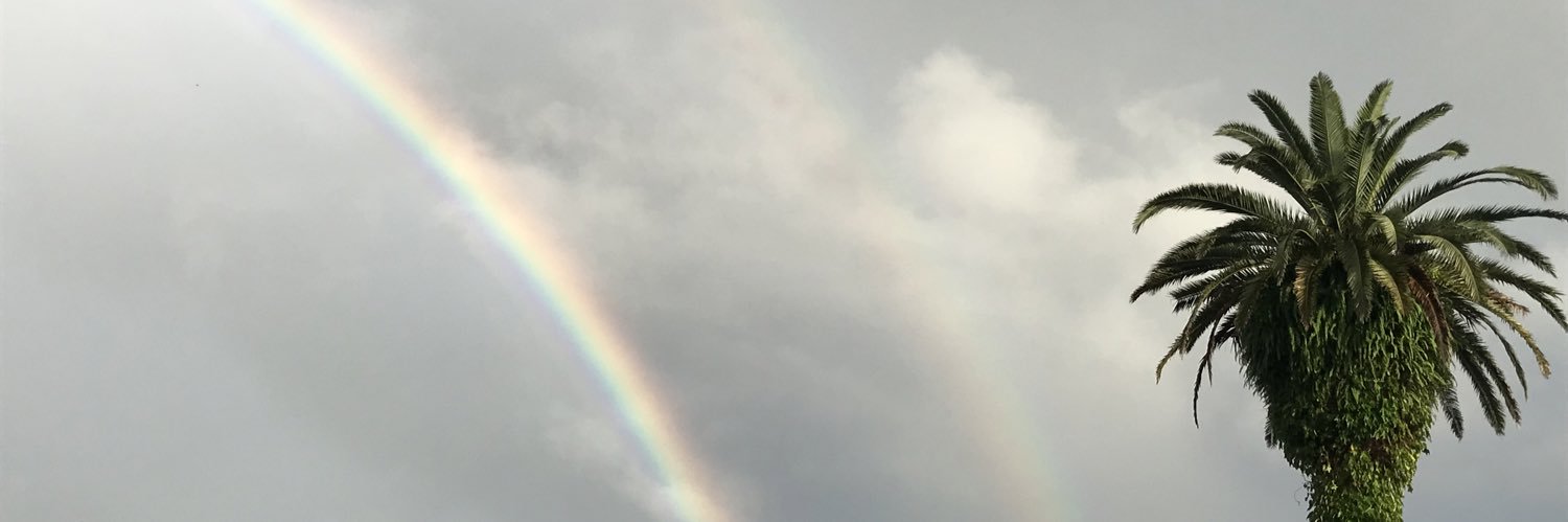 cat プラ吉 banner