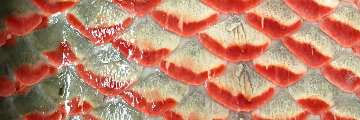 MariaMar8895's profile banner image