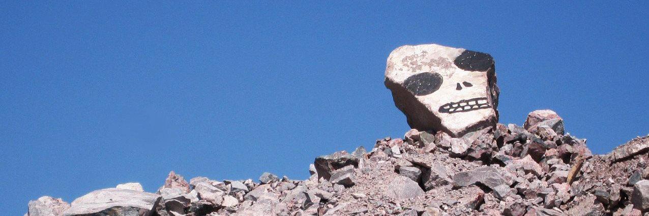 Maija Faehnle banner