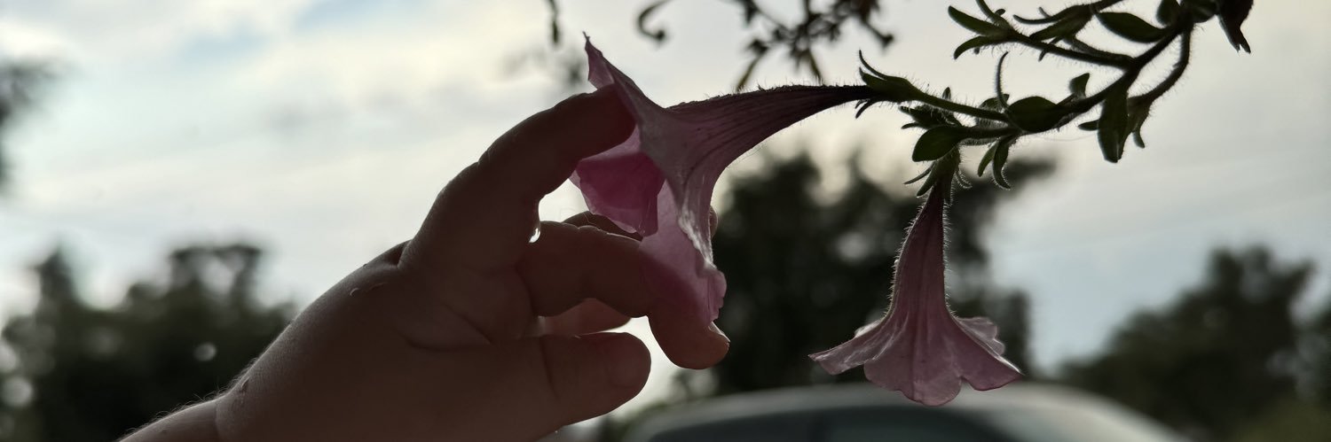 _Ninjaaaa's profile banner image