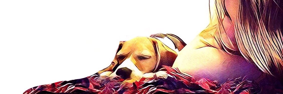 marcelaemletras's profile banner image