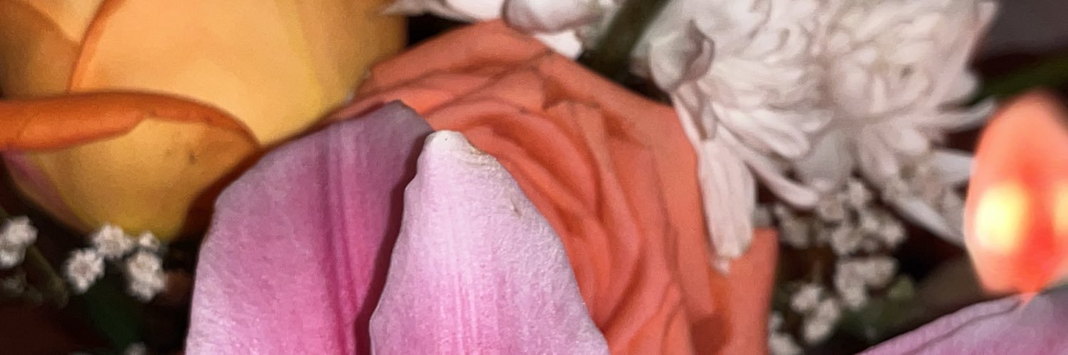 margalarida's profile banner image