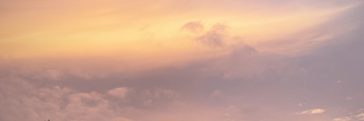 ARCTlCLARRY's profile banner image