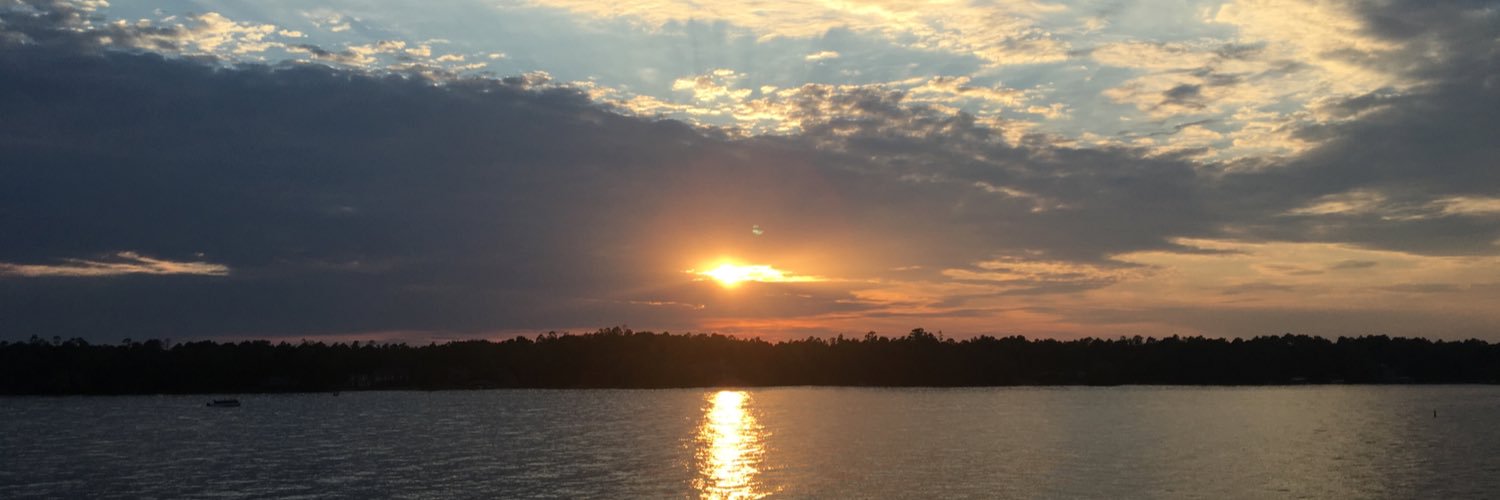 veggiedr's profile banner image