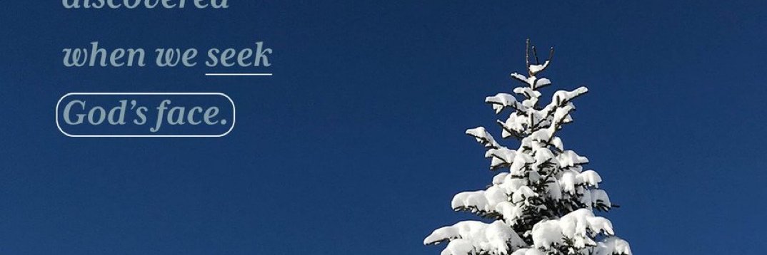 SomebodySbaby banner