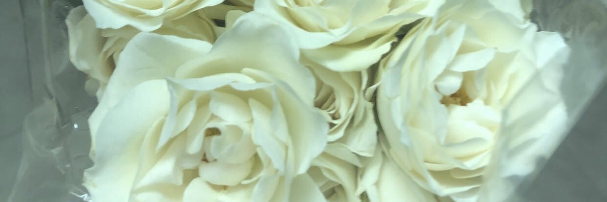 _cardenclark's profile banner image