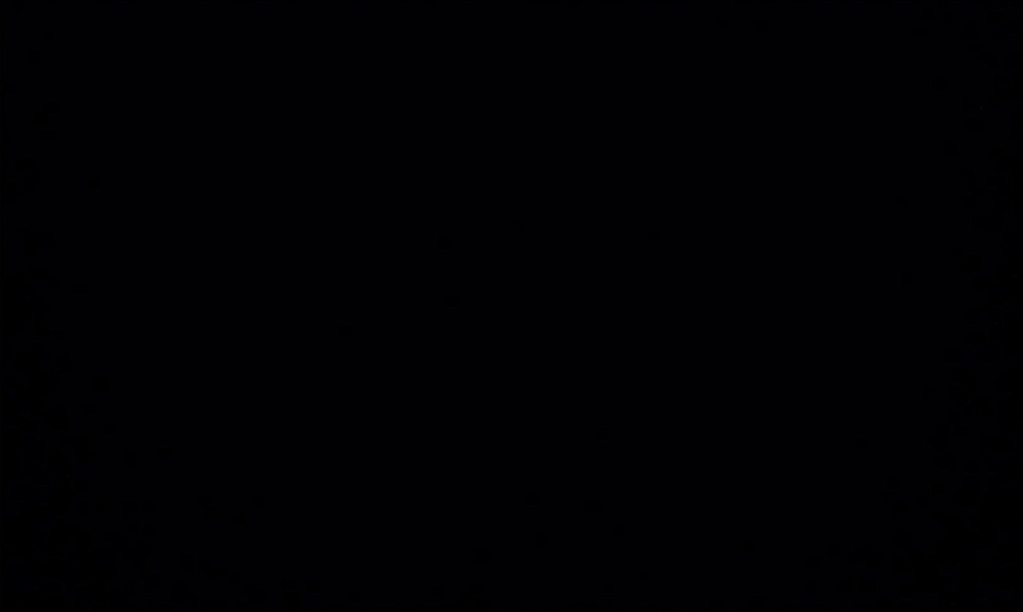 Layla , Zibar banner