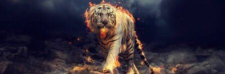 deepa_316's profile banner image