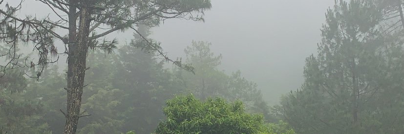 angiefriely's profile banner image