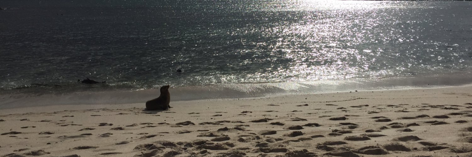 Veronica Gomez banner