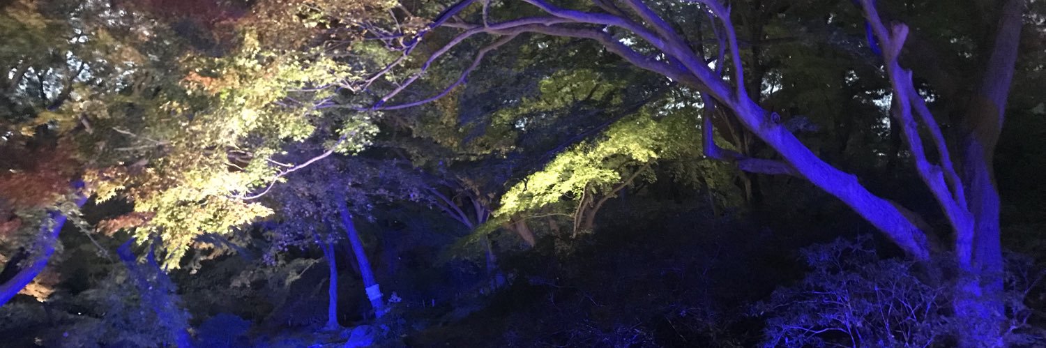 Ethanhamm's profile banner image