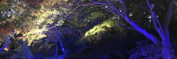 Ethanhamm Profile Banner